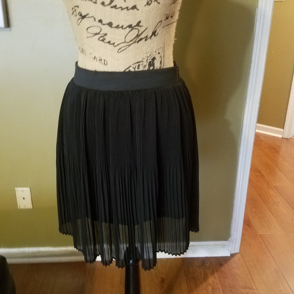 Pleated lined H&M Skirt.  NWT